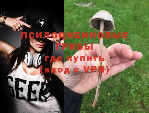 apvp Алексин