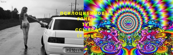 шишки Абдулино